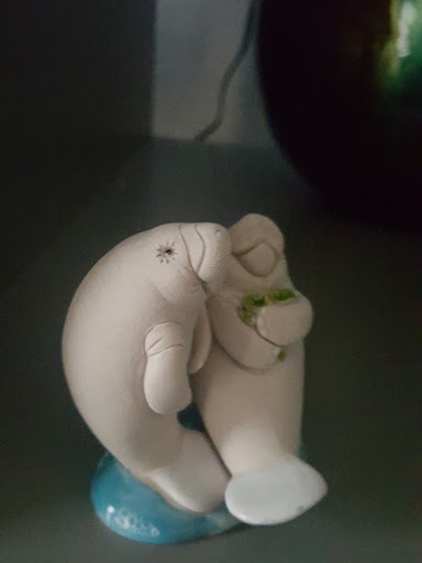 Tourist Attraction «Fun 2 Dive - Swim with Manatees», reviews and photos, 135 NE 3rd St, Crystal River, FL 34429, USA