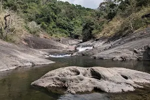 Kozhippara Waterfalls image
