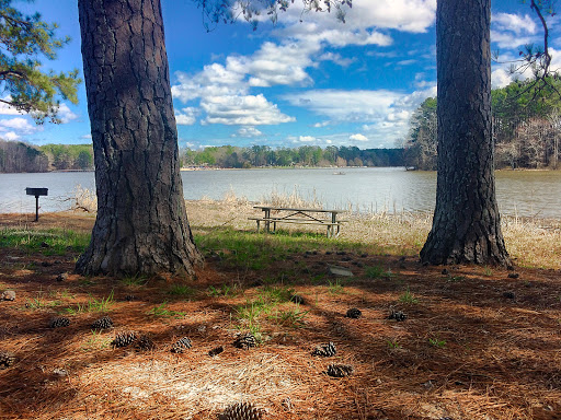 Tourist Attraction «South Shore Park», reviews and photos, 4555 Ragsdale Rd, Acworth, GA 30101, USA