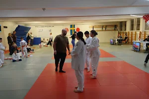 Uppsala Judoklubb image