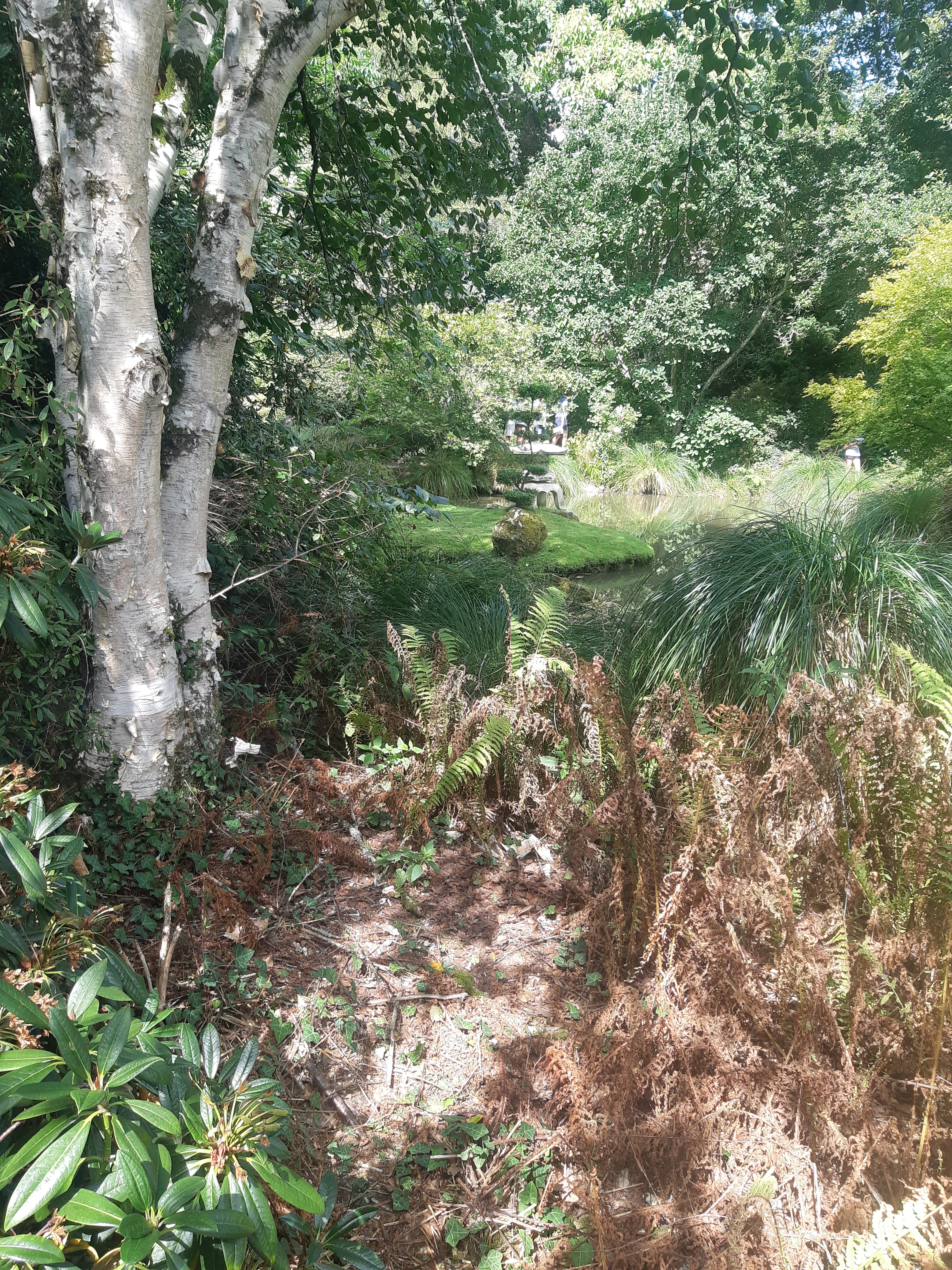 Photo n° 25 de l'avis de Monnin.h fait le 30/08/2022 à 15:51
