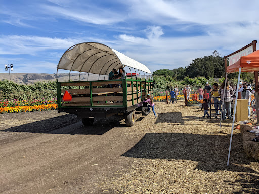 Pumpkin Patch «Spina Farms», reviews and photos, Santa Teresa Blvd, Morgan Hill, CA 95037, USA