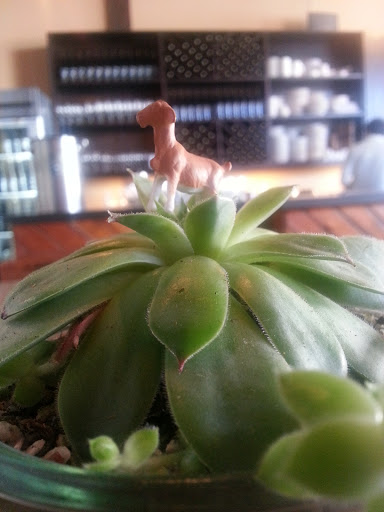 Wine Bar «TeSoAria Vineyard & Winery», reviews and photos, 4003 N Williams Ave, Portland, OR 97227, USA