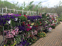 Ed's Plant World - Photo 7 - Car repair in Brandywine, MD, Waldorf