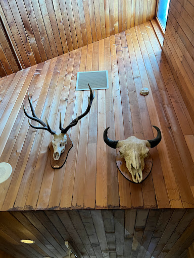 Visitor Center «Golden Pond Visitor Center & Planetarium», reviews and photos, 238 Visitor Center Dr, Golden Pond, KY 42211, USA