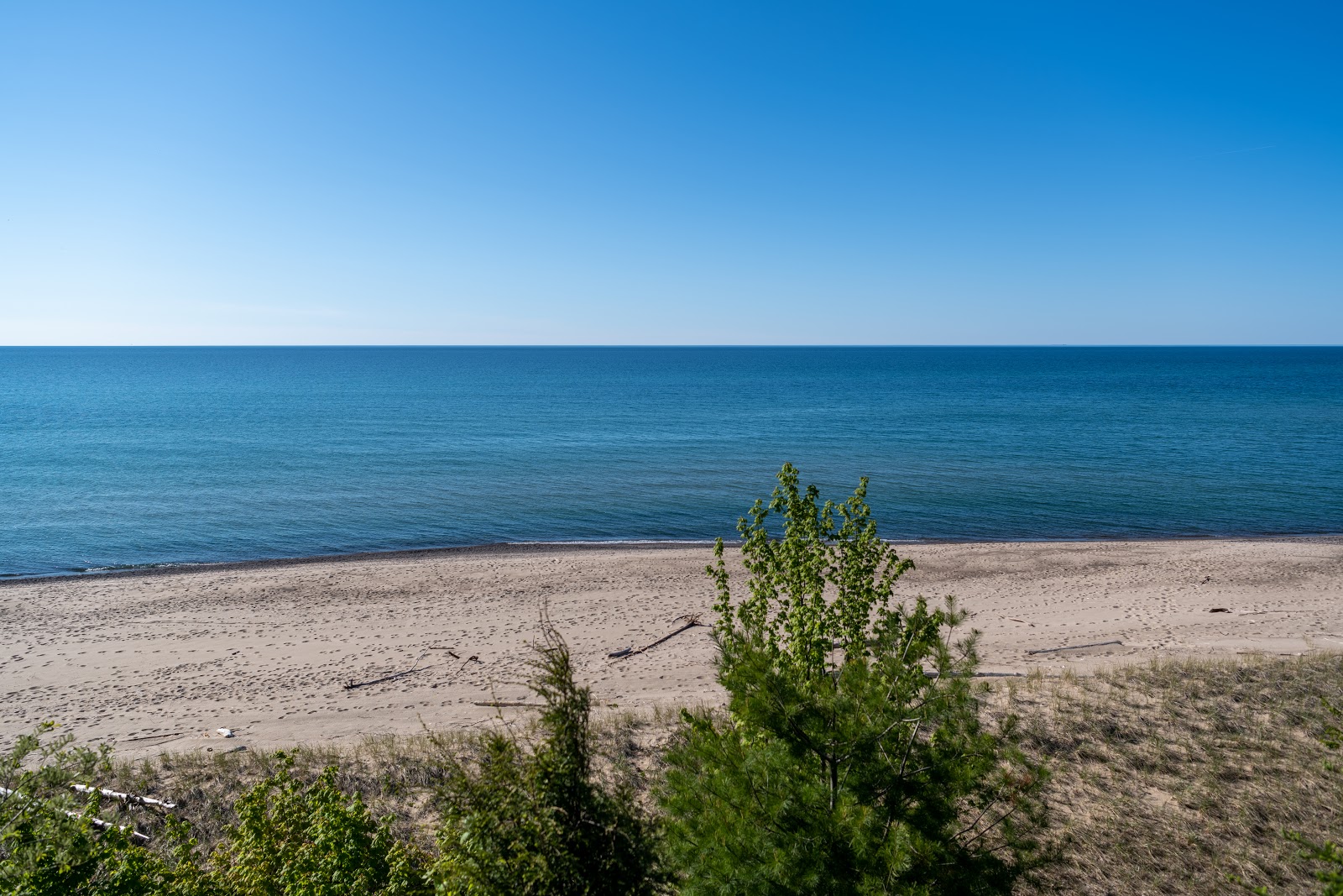Mosquito Beach'in fotoğrafı vahşi alan