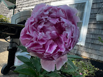 Pristine Property Maintenance - Photo 7 - Car repair in North Attleborough, MA, Providence