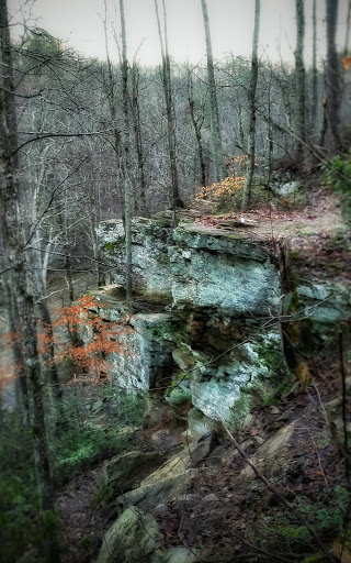 National Park «Chattahoochee River National Recreation Area - Allenbrook Unit», reviews and photos, 227 S Atlanta St, Roswell, GA 30075, USA