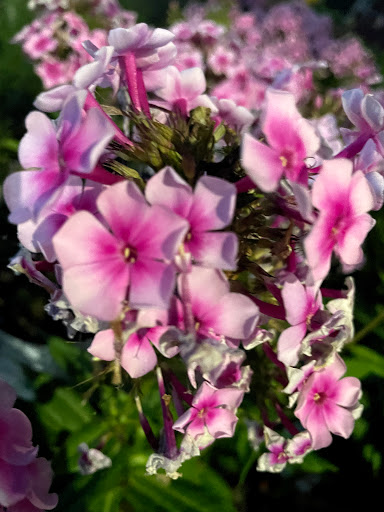 Home Improvement Store «The Home Depot», reviews and photos, 899 County St, Taunton, MA 02780, USA