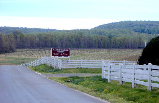 Winery «Barboursville Vineyards», reviews and photos, 17655 Winery Rd, Barboursville, VA 22923, USA