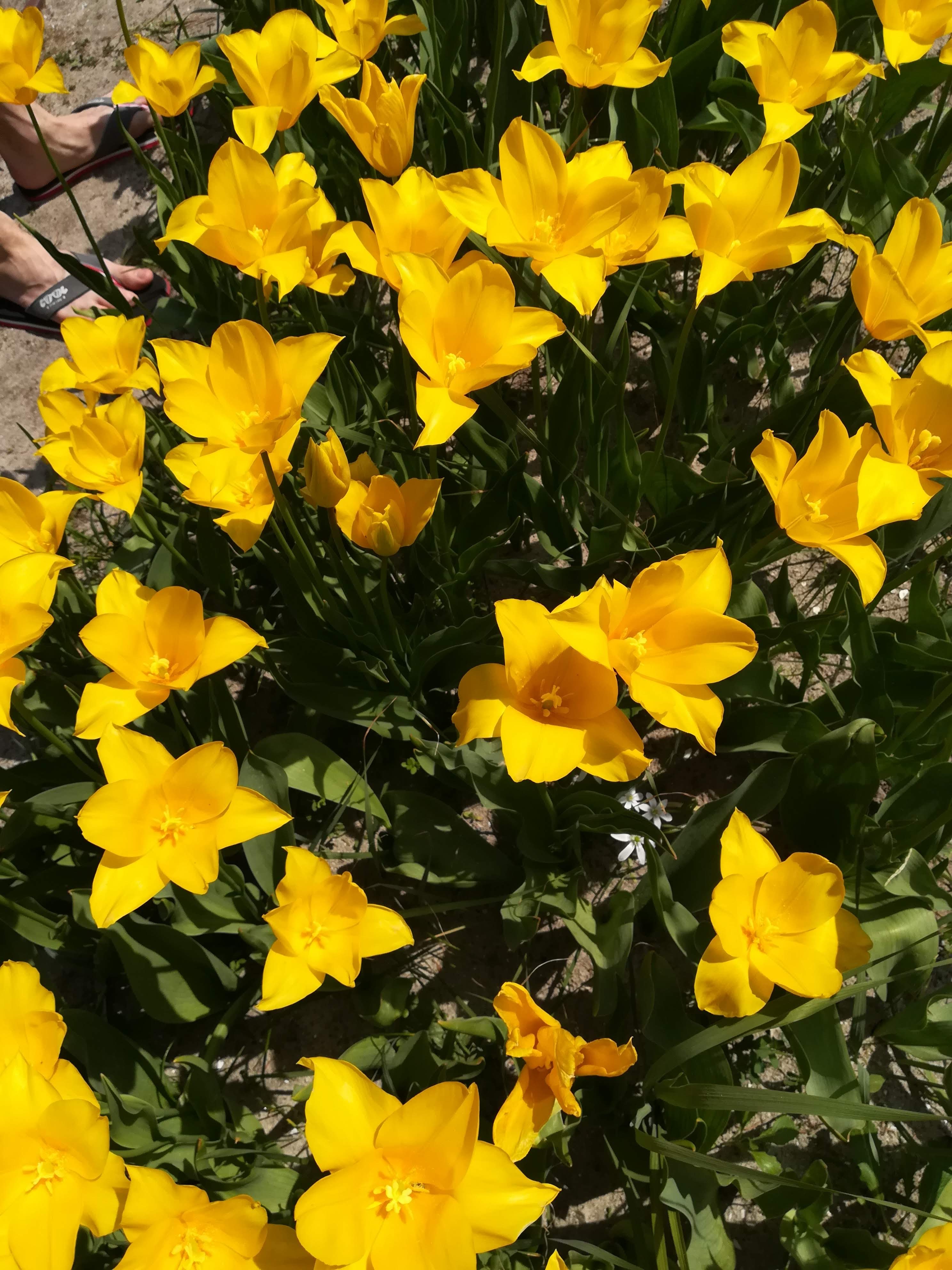 Photo n° 11 de l'avis de Ky29. fait le 26/03/2021 à 12:18