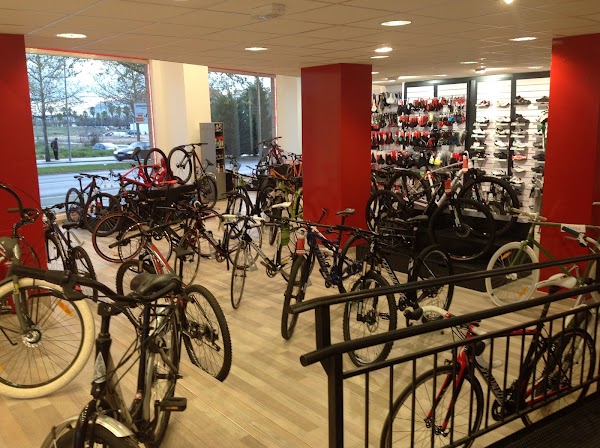 Angel Cortijo Bicicletas