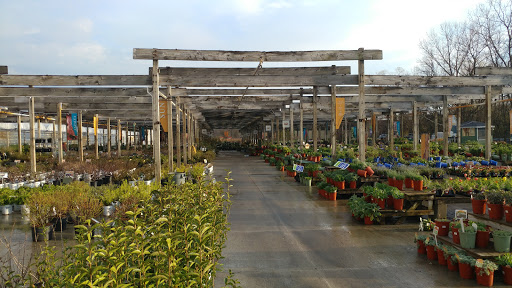 Petitti Garden Centers