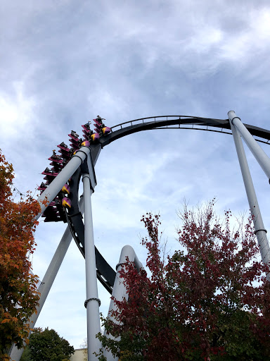 Roller Coaster «Great Bear», reviews and photos, 100 Hersheypark Monorail, Hershey, PA 17033, USA