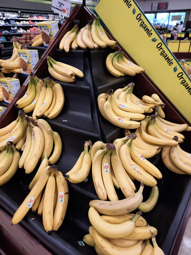 Supermarket «Big Y», reviews and photos, 10 Washington St, Norwell, MA 02061, USA