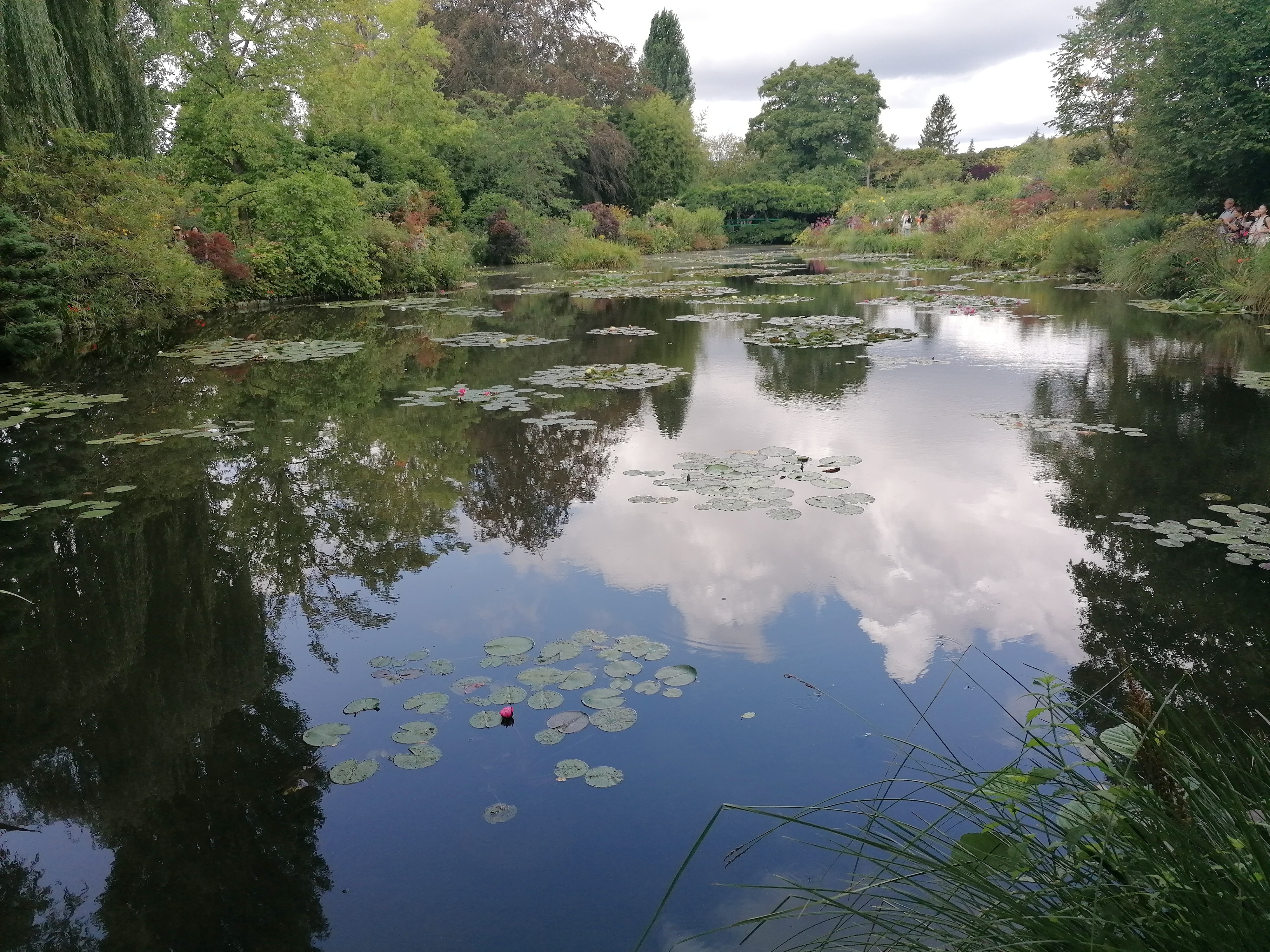 Photo n° 2 de l'avis de Sil.e fait le 29/08/2023 à 15:53