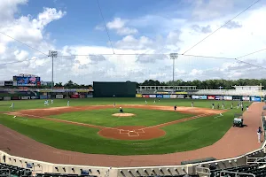 Hammond Stadium image