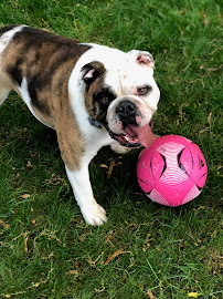 Fuzz Buckets GR - Photo 5 - Car repair in Grand Rapids, MI, Grand Rapids