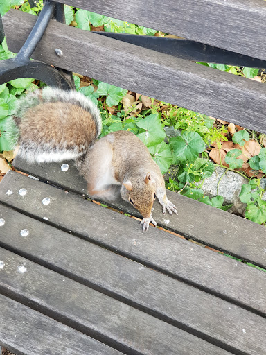 National Park «Castle Clinton National Monument», reviews and photos, Battery Park, New York, NY 10004, USA