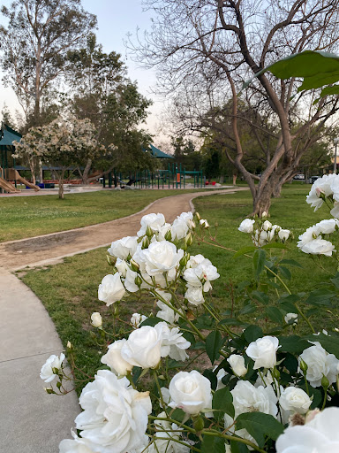 Valley Village Park image
