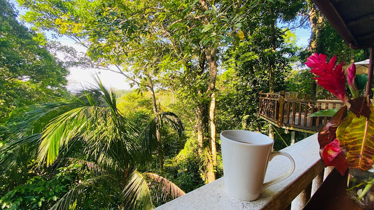 Photos des visiteurs hôtels Villas en el Bosque 60501 Ojochal