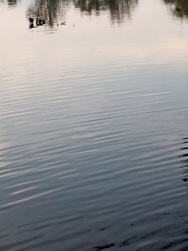 Art Museum «Richmond Art Museum», reviews and photos, 350 Hub Etchison Pkwy, Richmond, IN 47374, USA