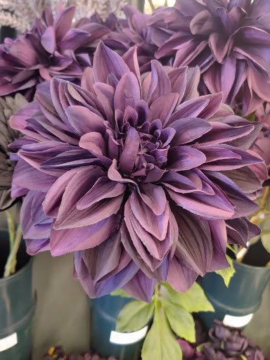 Craft Store «Hobby Lobby», reviews and photos, 7201 Shoppes Dr #101, Melbourne, FL 32940, USA