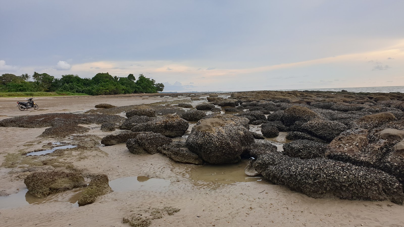 Foto de Kuala Nyalau Beach con parcialmente limpio nivel de limpieza