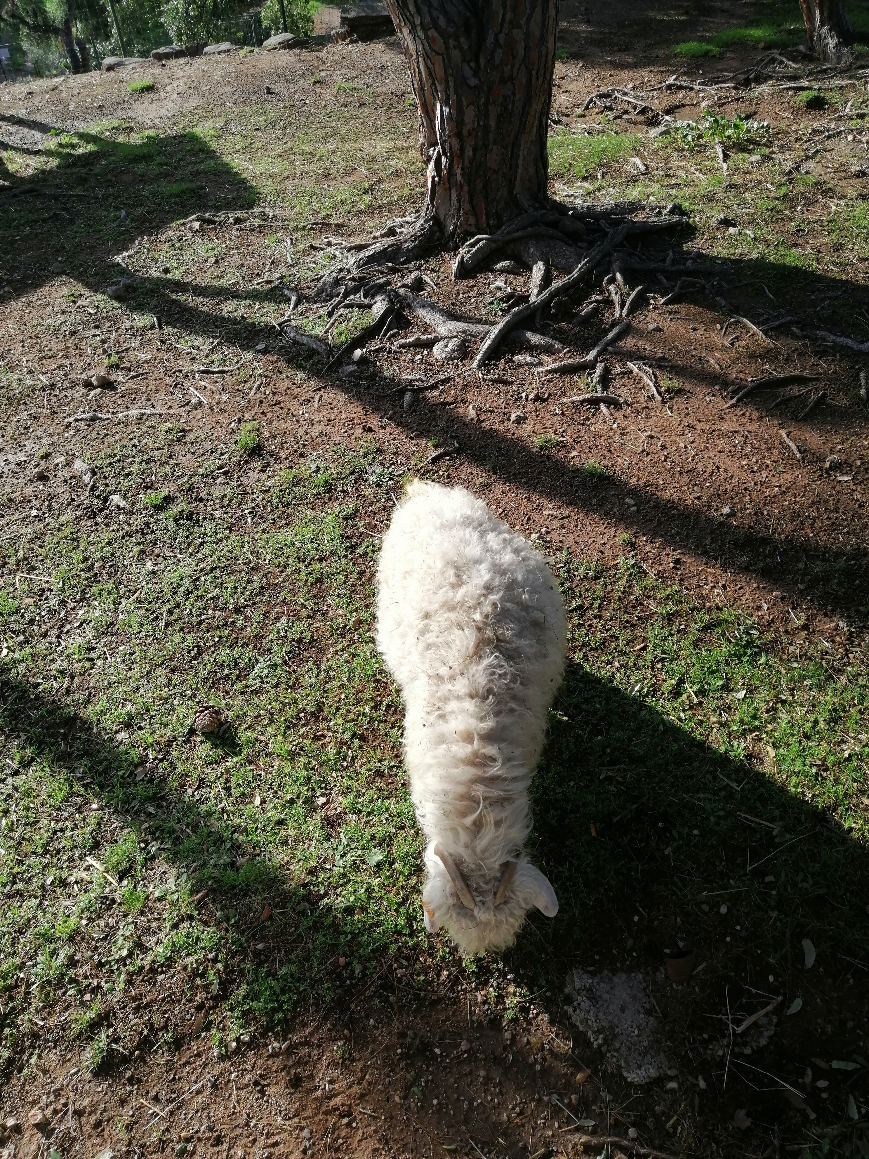 Photo n° 14 de l'avis de remy.e fait le 25/10/2019 à 16:38