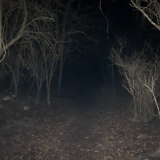 Nature Preserve «Steer Swamp Conservation Area», reviews and photos, 188 Washington St, Marblehead, MA 01945, USA