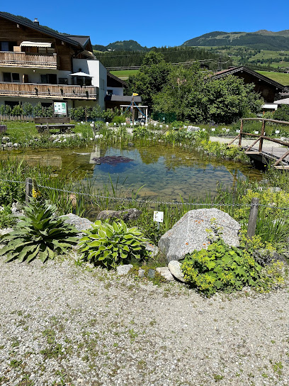 Hollersbacher Kräutergarten