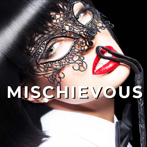 Adult Entertainment Store «Mischievous», reviews and photos, 559 300 W, Salt Lake City, UT 84101, USA