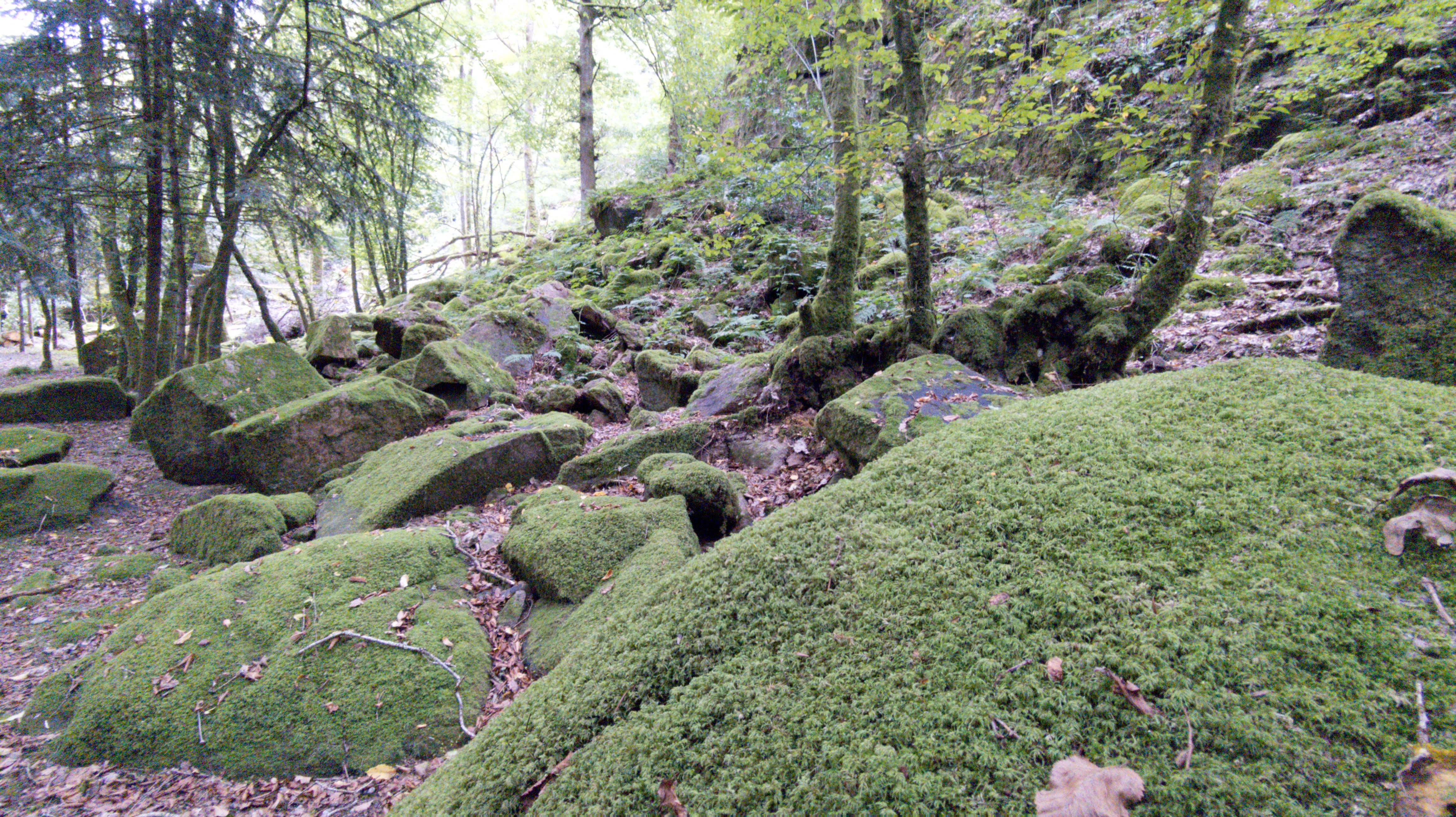 Photo n° 11 de l'avis de Raph. fait le 04/10/2021 à 19:43