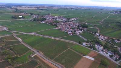 Domaine Michel REBOURGEON à Pommard