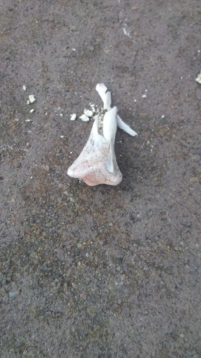 Park «Rapid Run Park», reviews and photos, 4450 Rapid Run Rd, Cincinnati, OH 45205, USA