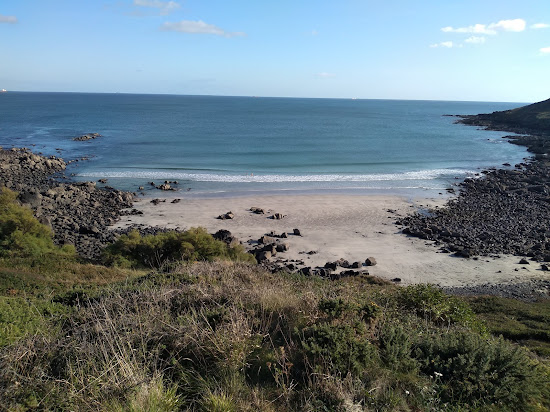 Porthbeer Cove