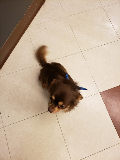 Pet Supply Store «PetSmart», reviews and photos, 1460 Koester Rd, Forsyth, IL 62535, USA