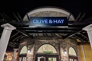 Olive & Hay image