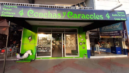 Conchas y Caracoles