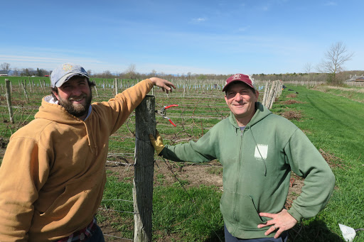 Winery «Snow Farm Vineyard & Winery», reviews and photos, 190 W Shore Rd, South Hero, VT 05486, USA
