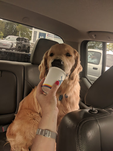 Car Wash «7 Flags Full Service Car Wash & Detail Center», reviews and photos, 108 Elmira Rd, Vacaville, CA 95687, USA