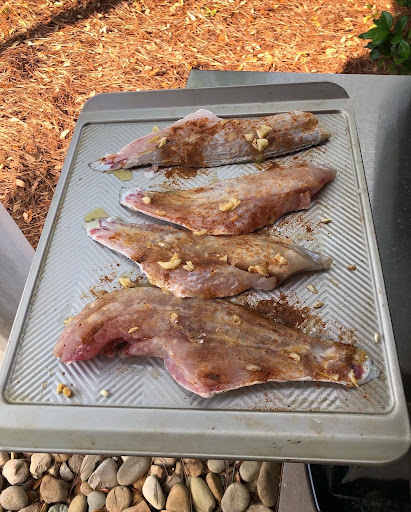 Fishing Charter «Carolina Guide Service - Fishing Charters», reviews and photos, 169 Windover Dr, Pawleys Island, SC 29585, USA