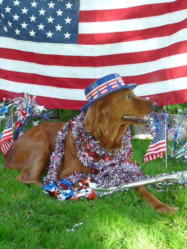 Pet Store «Island Dog», reviews and photos, 410 Mallery St, Saint Simons Island, GA 31522, USA