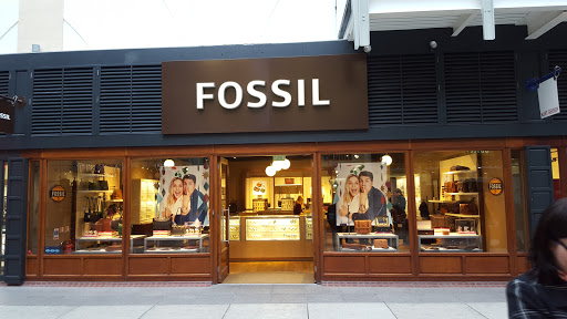 Fossil