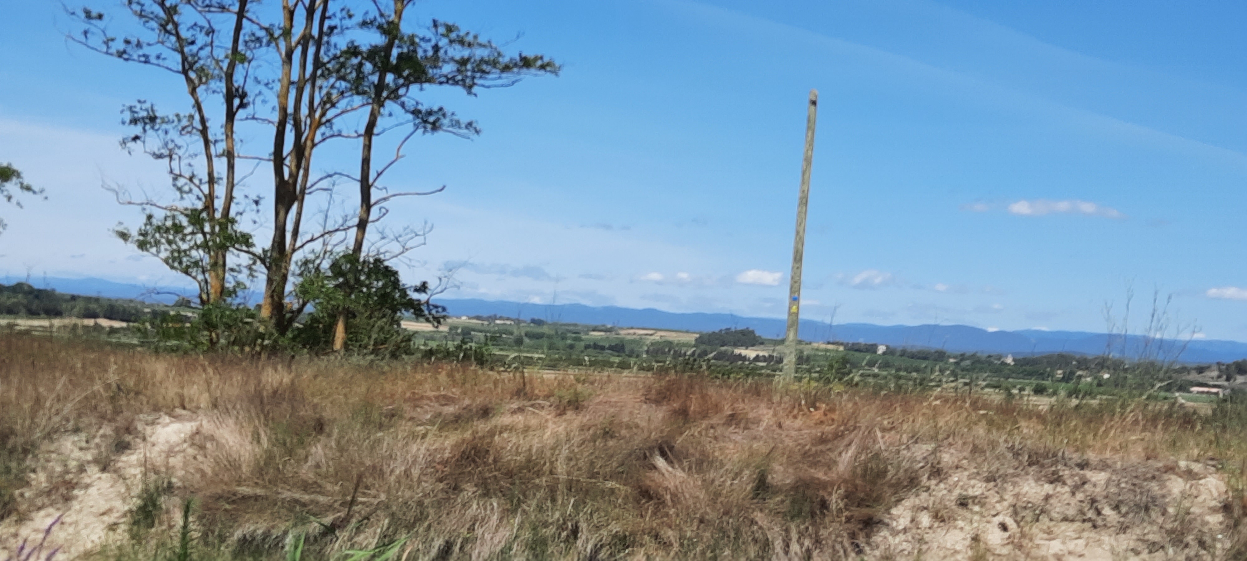 Photo n° 5 de l'avis de Michel.a fait le 16/07/2023 à 21:33
