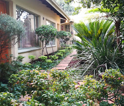Habitat Guest House photo