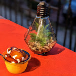 Photo n°5 de l'avis de Nikhil.u fait le 11/06/2023 à 06:50 sur le  Tra Monti e Mare à Biassa