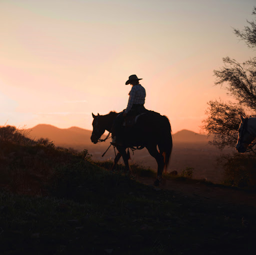 Wild West Horse Adventures