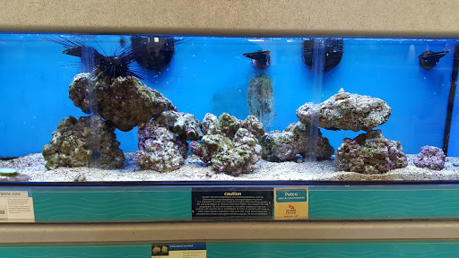 Pet Supply Store «Petco Animal Supplies», reviews and photos, 3201 Bee Cave Rd #117, Austin, TX 78746, USA