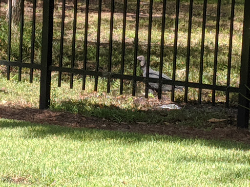 Golf Club «Hampton Hall», reviews and photos, 170 Hampton Hall Blvd, Bluffton, SC 29910, USA